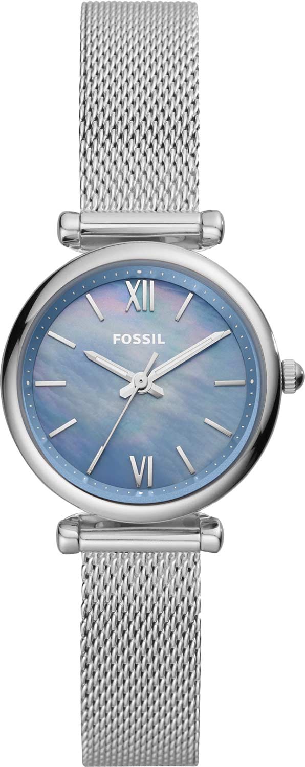 ES5083 Fossil